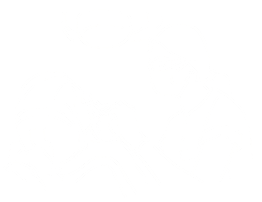 group 2013  Dentistes Ollioules | Cabinet dentaire Mermoz