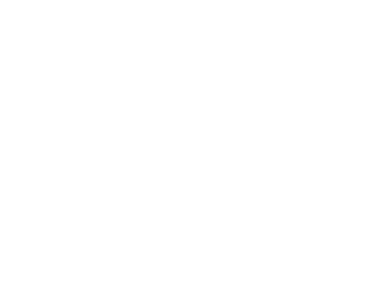 group 2014  Dentistes Ollioules | Cabinet dentaire Mermoz