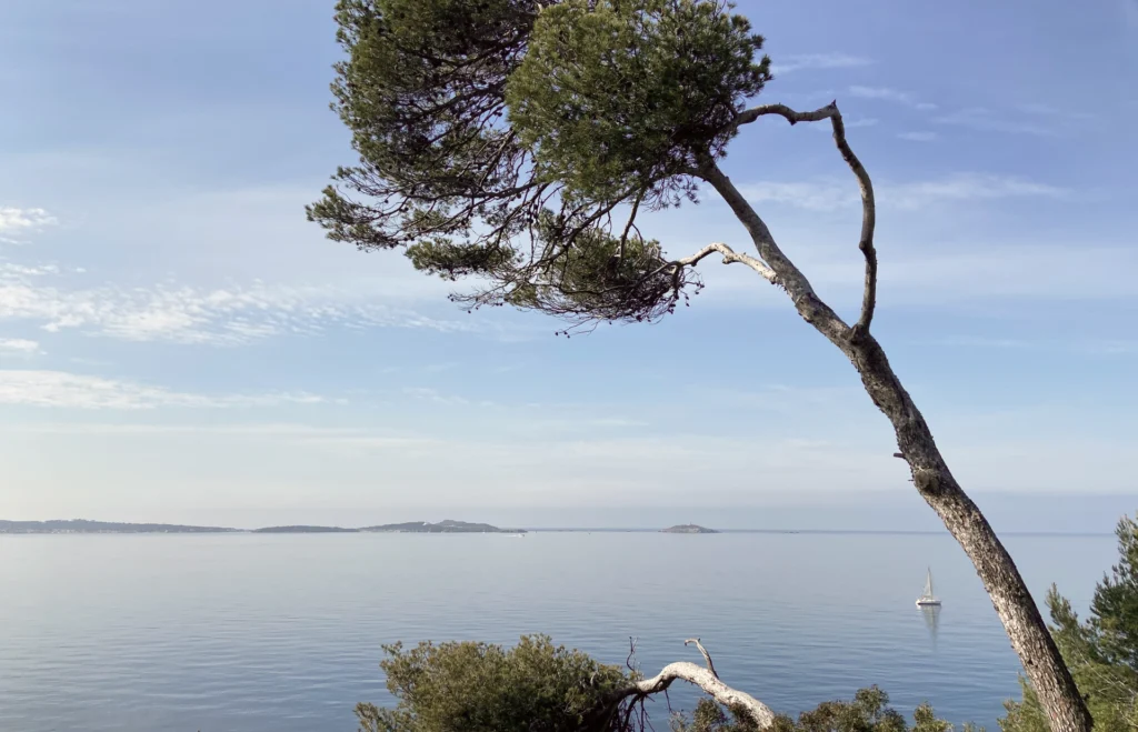 sanary ollioules Dentiste Ollioules Dentistes Ollioules | Cabinet dentaire Mermoz