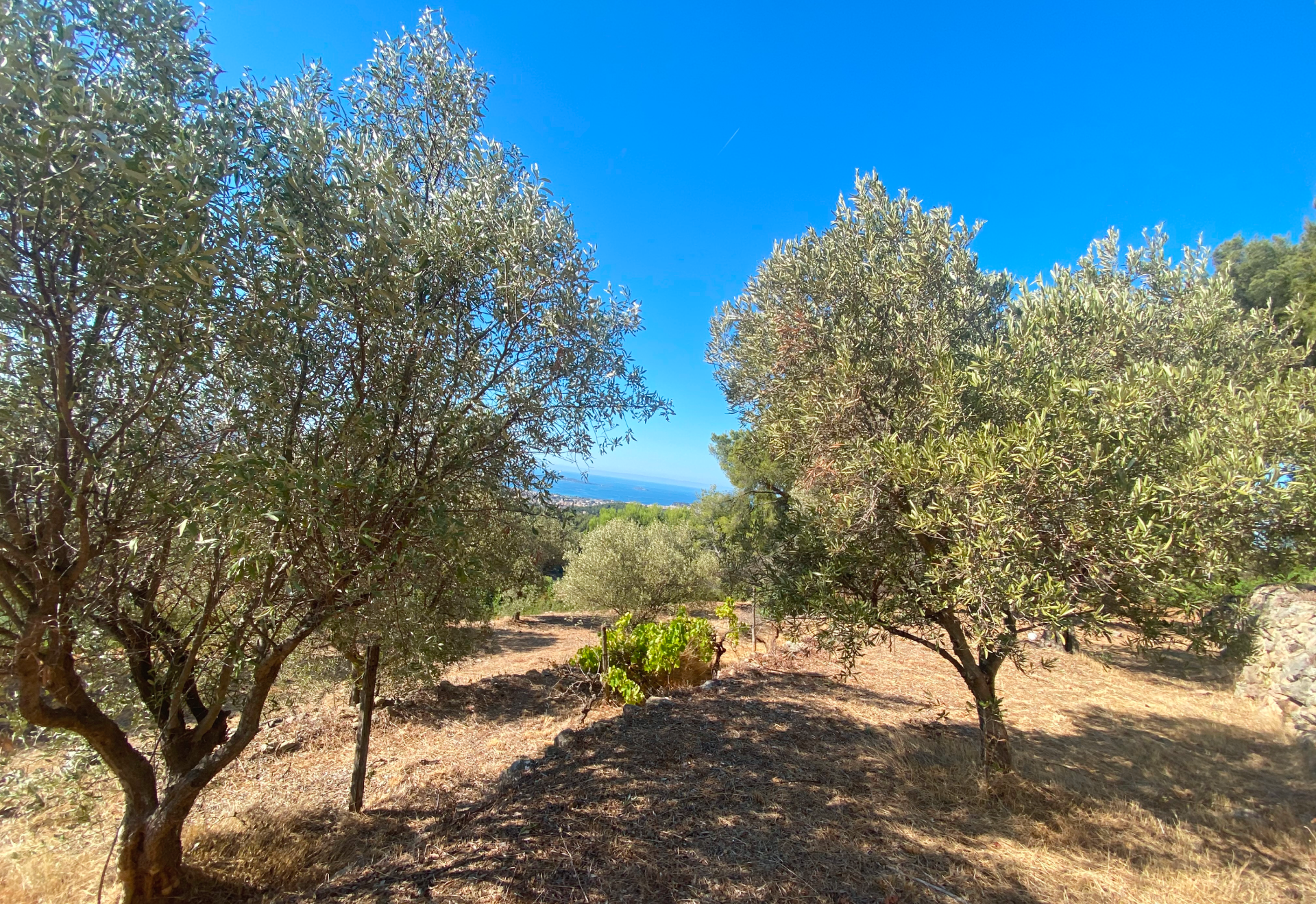 sanary ollioules six fours Accueil Dentistes Ollioules | Cabinet dentaire Mermoz